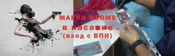 apvp Бородино