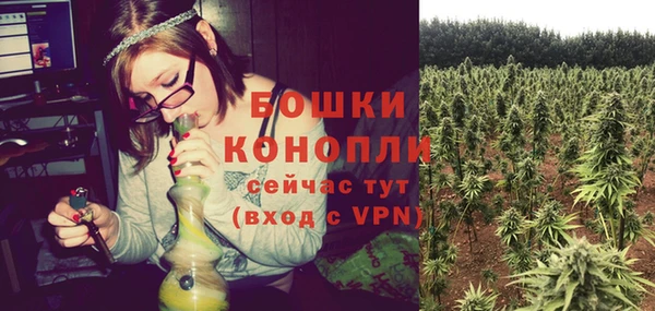мет Богданович