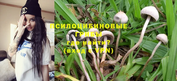 мет Богданович