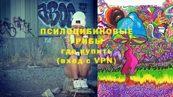 СК Богородск